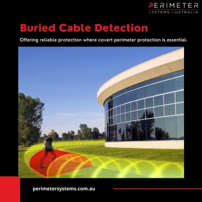 Pro Buried Cable Perimeter Detector — 100m