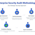 Pro Enterprise Security Audit — On-Site