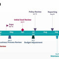 Professional Monitoring — 12-Month Plan