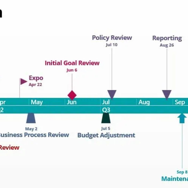 Professional Monitoring — 12-Month Plan